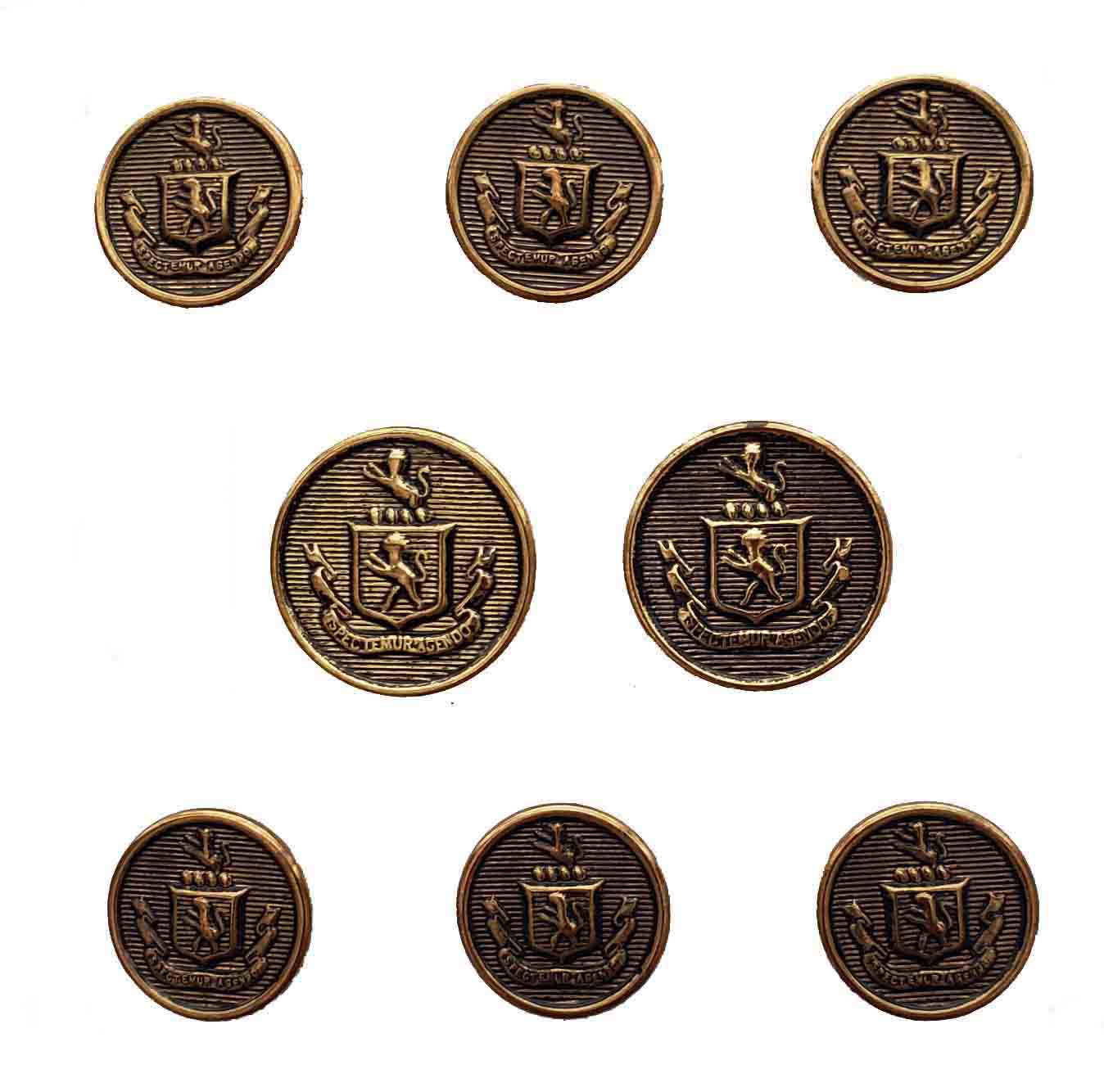 Vintage Arnold Palmer Blazer Buttons Set Antique Gold Brass Brown Lion Shield C4X Men's