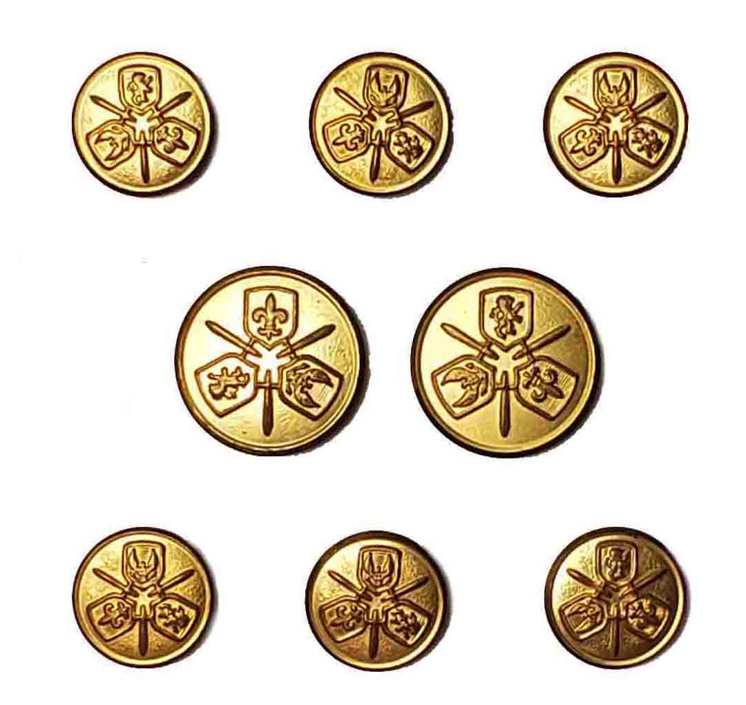 Vintage Rampant Lion Eagle Fleur de Lis Blazer Buttons Set by Waterbury Gold Brass Men's